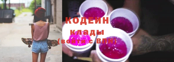 твердый Козельск