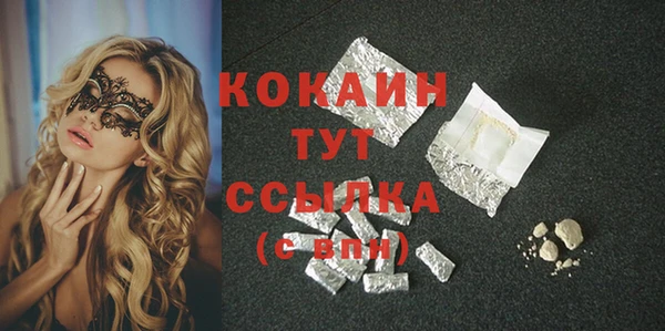 твердый Краснослободск