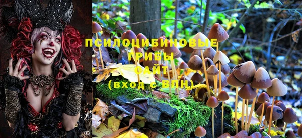 герыч Балахна