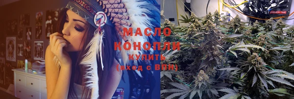 твердый Козельск