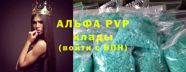 твердый Козельск