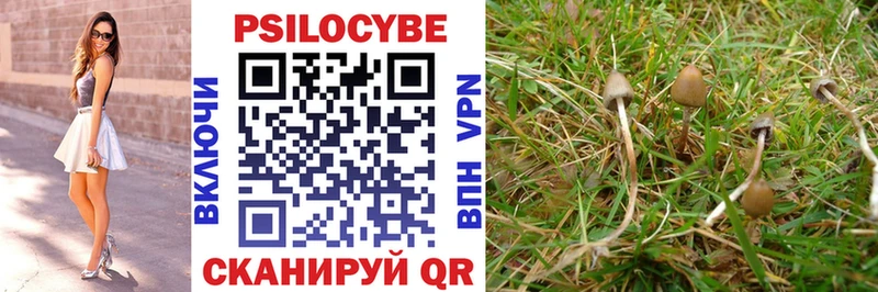 Галлюциногенные грибы MAGIC MUSHROOMS  как найти   Чудово 